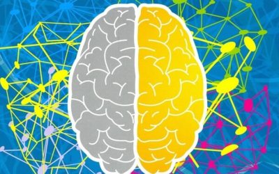 Neurociências e Educação: Realidade ou ficção?